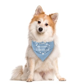My Parents are Getting Married Dog Bandana, Baby Blue Dog Bandana, Dog Wedding Bandana, Dog Engagement Bandana, Pet Dog Scarf Accessories, Dog Bandana for Small Medium Large Dogs (E35)