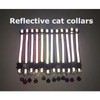AIMALL Cat Collar Reflective with Safety Release Breakaway Buckle Kitten