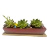 WISH HALLY WOOD 9.8inch long red rectangle Ceramic Succulent Planter