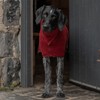 Ruff and Tumble Dog Drying Coat - Classic Collection |