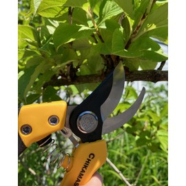 Chikamasa Chikamasa Pruning Shears 8 PSB-8Y Yellow