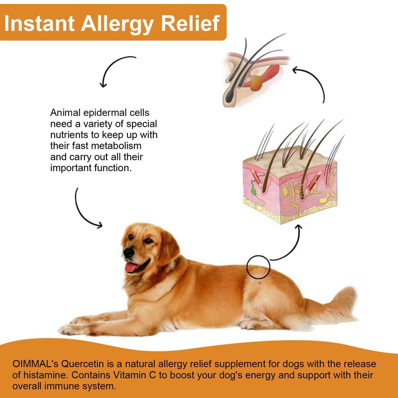 Quercetin for Dogs - Allergy Relief Support - Liquid Drops