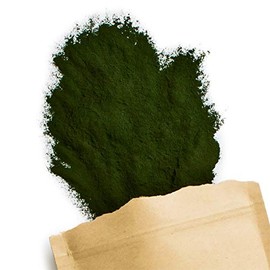 Terra Elements Organic Chlorella Powder 100 g I Microalgae I Rich in Natural Iron I 100% Pure I Vegan I Raw Food