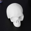 YILONG Tattoo Practice Model Skin White Silicone Skull Training Supplies