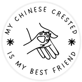 Kiwi Gifts My Chinese Crested is My Best Friend - Circle Sticker Decal 3 Inch - Dog Pet