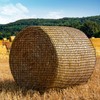 NizHome Round Bale Hay Net, 6x6FT Knotless Hay Nets for