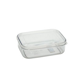 Iwasaki A-073 NN Storage Container, Micro Clear Food Case, 21.2 fl oz (620 ml) (S) Natural
