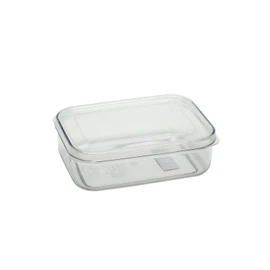 Iwasaki A-073 NN Storage Container, Micro Clear Food Case, 21.2 fl oz (620 ml) (S) Natural