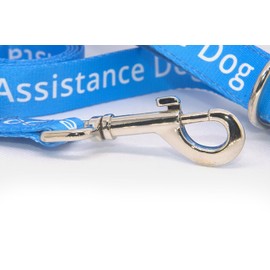 Durable Blue Assistance Dog Lead - 2.5cm/152cm - Padded Handle