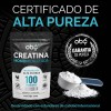 Creatina Monohidratada Micronizada Pura Polvo 500gr Oby Creatine 100 Servicios