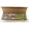 FIESTA CHARTREUSE SWIRL FLATWARE 5 Pc Set From "New 1999
