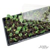 Jiffy 72Cell Greenhouse Seed Starter Kit with 36mm Peat Pellets,Humidi