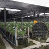 Lumoku Maya Sombra Raschel Negra 70% 4.5x15 Mts Mallasombra Malla