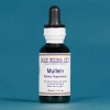Pure Herbs: Mullein Leaf - 1 oz.