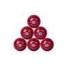 SKYHI Wind Cricket Balls - Soft Practice Training Wind Cricket