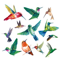 Hummingbirds Anti-Collision Window Bird Stickers Stop Birds from Hitting Windows Glass Door Window Stickers Static Window Clings Bird Window Decals of 4 Sheets