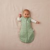 ergoPouch 2.5 TOG Cocoon Baby Sleep Sack 0 Months, Swaddle