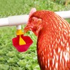 Vandancoop Chicken Water Cup for PVC with Tee, Automatic Float