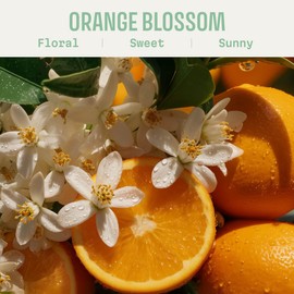 Panier des Sens - Orange Blossom Soap Bar 2x 150g - Moisturizing Gentle Scented - Natural Soap with Olive Oil - 97% Natural Ingredients Made in France - Vegan