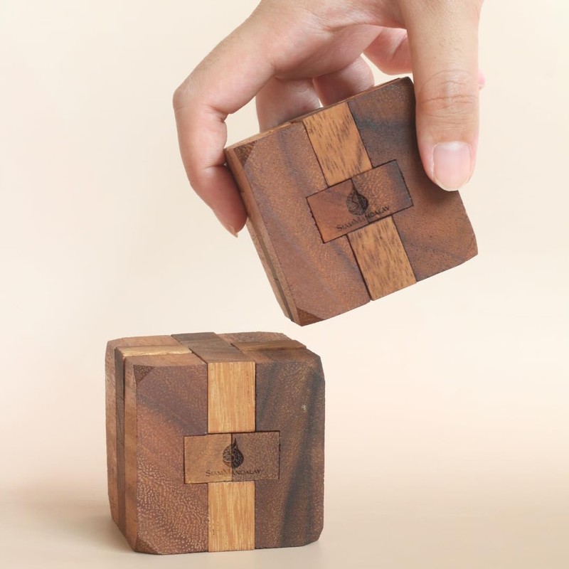 Hidden Passage: Wooden 3D Mechanical Puzzle for Adults – Brain