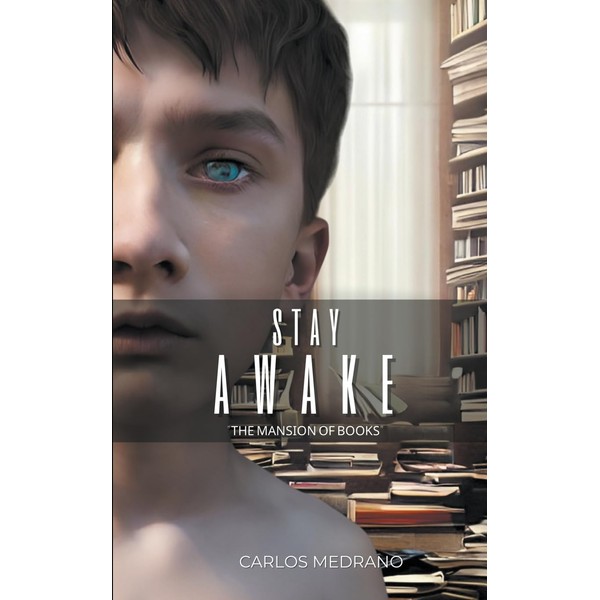 Stay Awake, The Mansion of books (1)