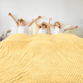 Vessia Flannel Fleece Queen Size Bed Blanket(90x90 inch), 3D Jacquard Light Yellow Fuzzy and Warm Blanket for Adults, 300GSM Super Soft Touch Cozy Lightweight Bed Decor for All-Season