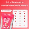 SteelFit Creatine Gummies (Creapure) 120 pack Juicy Watermelon