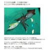 Lumica (Japan Chemiluminescence) Ultimate Squid No. 15 A20413