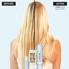 Clairol Colour Studio Hair Primer | Leave-in Pre-colour Serum |