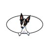 CafePress Rat Terrier Peeking Bumper Sticker Oval Car Bumper Sticker