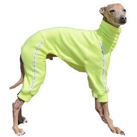 D DOGGY STAR - Ropa de galgo italiano con toalla elástica deportiva para chamarra de perro (XL, TWL Neonyellow)