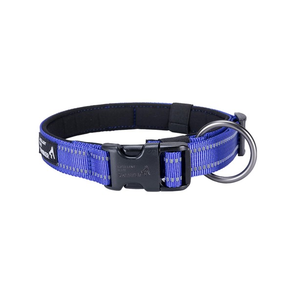 EXCELLENT ELITE SPANKER Reflective Dog Collar with Safety Locking Buckle,
