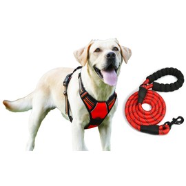 EarthPETS Classic Pet Harness No Pull with 2 Leash Clips, Adjustable Soft Padded, Reflective Oxford, No Choke Pet Vest with Easy Control Handle for Dogs, Red, L