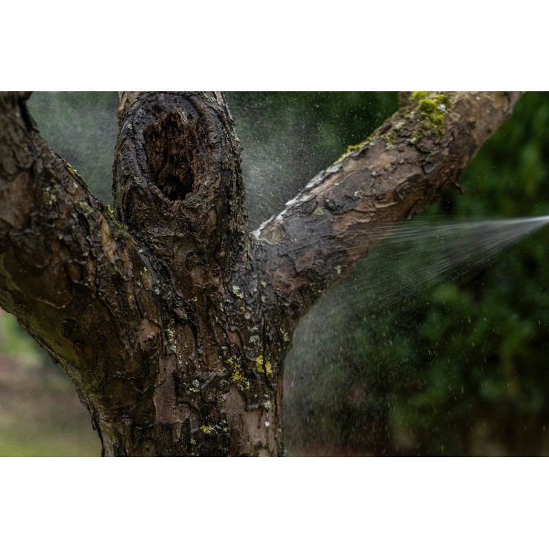 Nemapom SF Nematodes for Combating the Codling Moth 50 Million