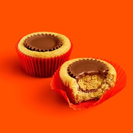 REESESMiniatures Peanut Butter Cups Candy (2 Pounds) (Peanut Butter)