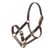 Shires GARA Fully Adjustable Leather Headcollar Foal Black