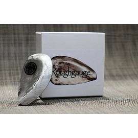 Jake Blade Electric Guitar Tremolo Arm System Guitar Accessory Paul Reed Smith PRS