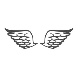 Angel Wing V2 9 inch Dark Grey Indoor Outdoor Vinyl Decal