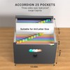 File Organiser Box Files Folder Document Organiser with Handle,25 Pockets