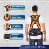 Palmer Safety Full Body 5 point Harness, Padded Back Support,
