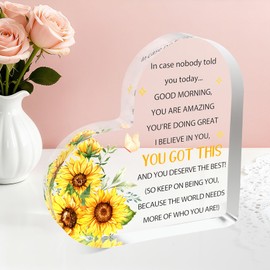 LSVGSAK Inspirational Gifts for Women Motivational Acrylic Block Friends Besties Daughter Sister Birthday Christmas Heart Office Desk Sign Accessories Tabletop Decorative Sign Stocking Stuffers