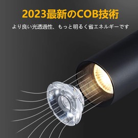 Duct Rail Light, Lighting Rail Spotlight, LED Spotlight, Power Consumption: 10 W, Warm Light, 3,000K LED, Large Light Amount, 1,100 lm, US (BridgeLux) LED Chip, Color Rendering Ra 96.5, Integrated