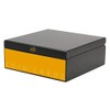 Coin Cards Magazin Box,Holz