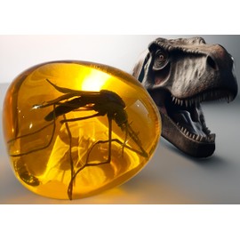 VEOJEIN Mosquito in Amber Fossil Replica Light Paperweight – DNA's Ancient Window – Dinosaur Era Relic – Premium Resin Artifact – Perfect for History & Paleontology Enthusiasts