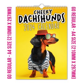 The Calendar King - Cheeky Dachshunds - 2024 Wall Calendar (A4 Size) // Christmas/Dog/Birthday/Gift Idea/Present/Novelty/Secret Santa/Year Planner/Office Gift