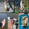 10 Pieces Trout Flies Lures, Imitation Insects Flies Baits Bionic