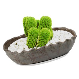 Mozing Retro Succulent Planter Ceramic Flower Pot for Indoor Outdoor, Cactus Planter Pot with Drainage Hole for Home & Office Decor