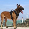 ICEFANG GN8 Tactical Dog Harness with 4X Metal Buckles for