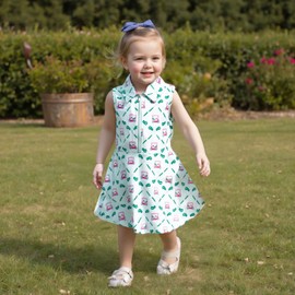 Rourufy Kids Girls Golf Outfit Toddler Girl Sleeveless Golf Dress Summer A Line Polo Dresses Athletic Workout Clothes (C Light Green Pink, 2-3 Years)