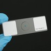 25 Slides with Samples, Prepared Slides, Prepared Microscope Sample Slides,